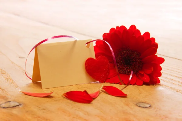 Red Gerber and love hearts. — Stock Photo, Image