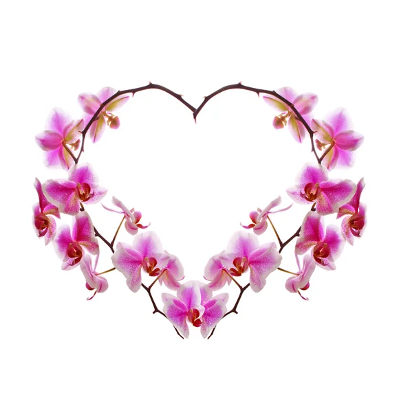 Orchid Flowers heart. — Stock Photo, Image