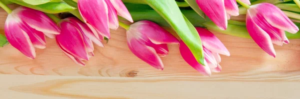 Pink tulips background. — Stock Photo, Image