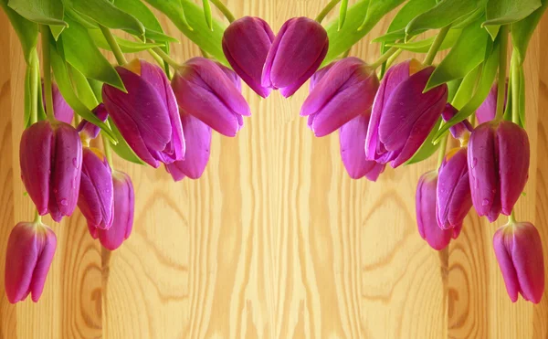 Roze tulpen achtergrond. — Stockfoto