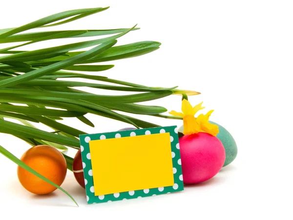Colorful easter eggs . — Stock Photo, Image