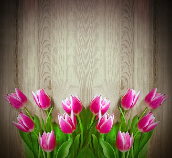 Roze tulpen achtergrond. — Stockfoto