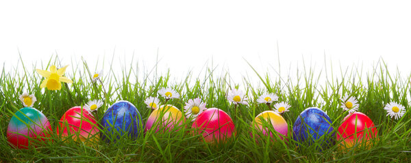 Green grass and colorful easter eggs.