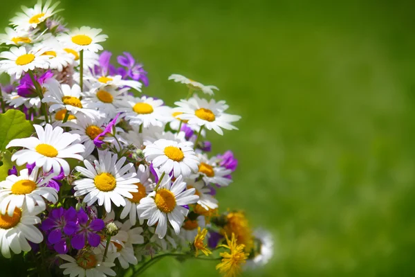 Bunter Blumenstrauß . — Stockfoto