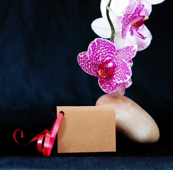 Wellness karta a růžová orchidej. — Stock fotografie