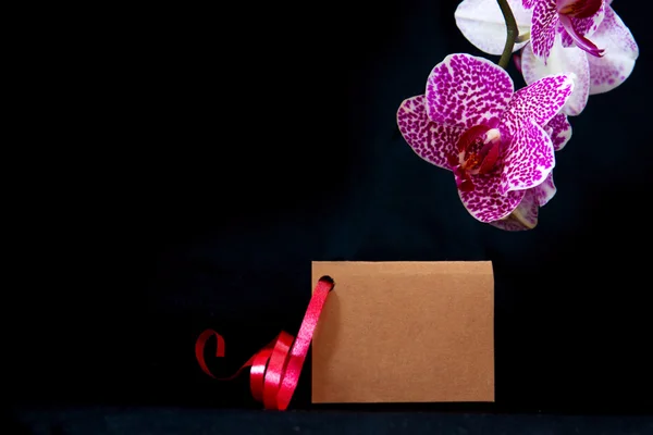 Tarjeta Wellnes y orquídea rosa . —  Fotos de Stock