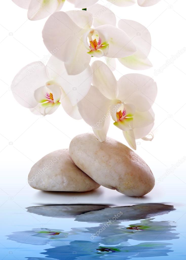 Massage Stones with white Orchid.