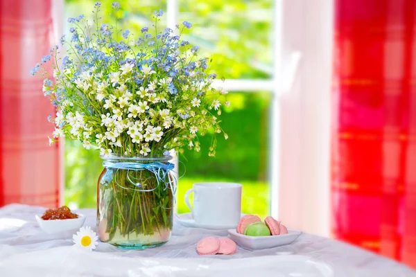 Flores e macarões selvagens . — Fotografia de Stock