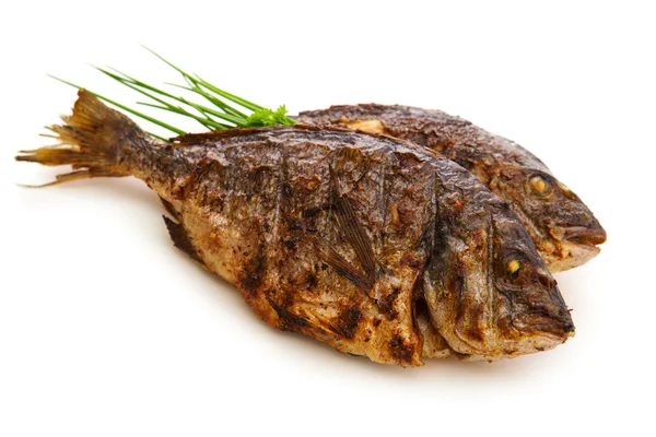 Two roasted dorade fish  isolated. — Stock Photo, Image