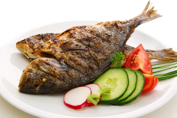 Dorada fish. — Stock Photo, Image