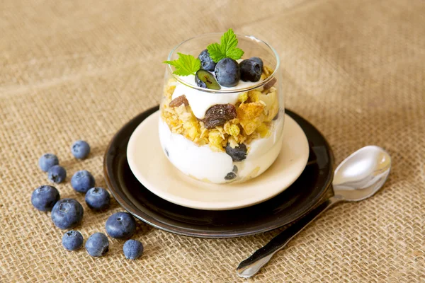 Čerstvý jogurt s borůvkami . — Stock fotografie