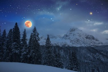 Dolunaylı kış ormanı ve soyut yıldız gökyüzü.