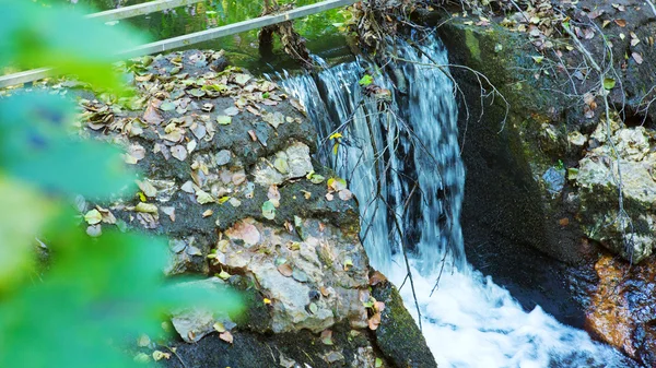 森の滝. — ストック写真