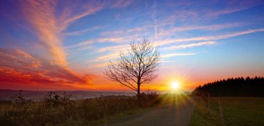 Bahar günbatımında yalnız bir ağaç ön planda belirgin bir şekilde duruyor..