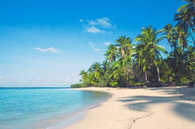 Etrafta palmiyeler olan tropik plaj manzarası. Karayip denizi ve yeşil palmiye ağaçları.