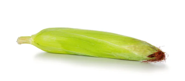 Fresh corn, isolated on white. — Stock Photo, Image