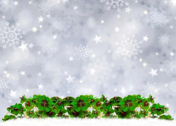 Silver Christmas Background and  clover leaves. — Stock Photo, Image