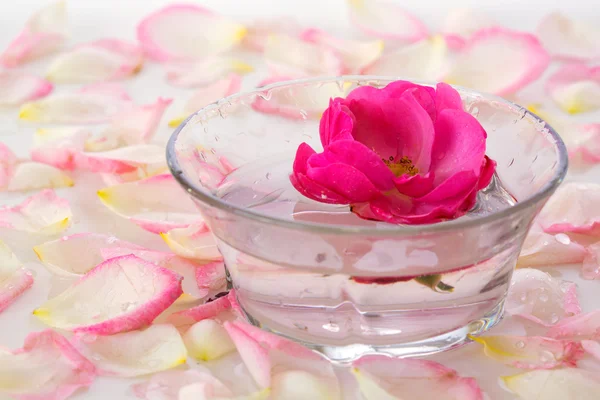 Rosa Rosa en un tazón de agua y pétalos blancos . — Foto de Stock