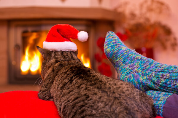 Gray Cat with Santa hat and a fireplace.