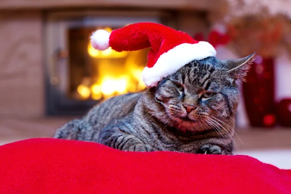 Gato cinza com chapéu de Papai Noel e uma lareira . — Fotografia de Stock