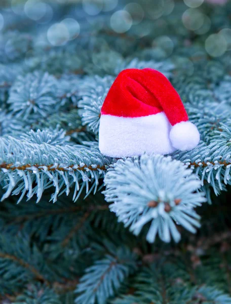 Різдвяний фон і червоний Санта капелюх . — стокове фото