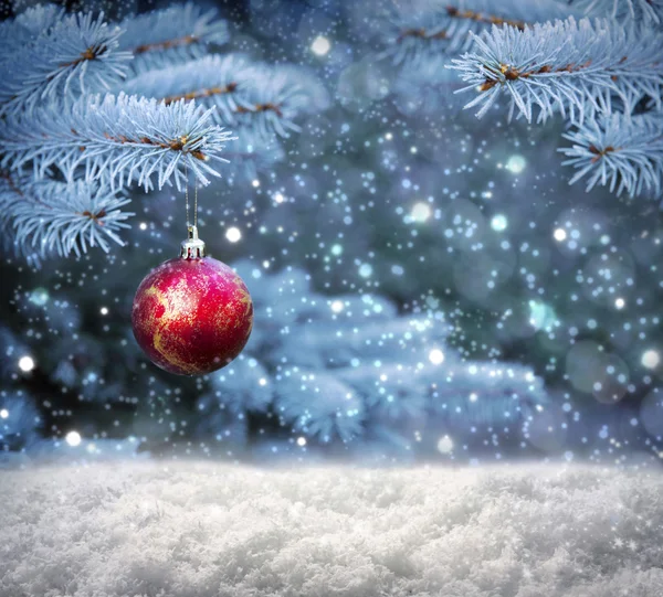 Red Christmas bal op de Fir tak bedekt met sneeuw. — Stockfoto