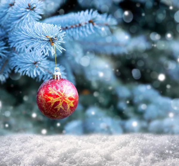 Κόκκινη Χριστουγεννιάτικη μπάλα στο Fir κλάδο που καλύπτονται με χιόνι. — Φωτογραφία Αρχείου