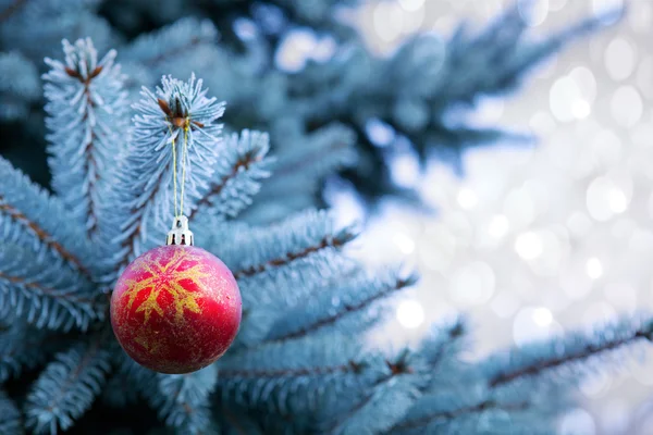 Bola de Natal isolada  . — Fotografia de Stock