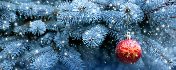 Rode Kerstbal op de Fir Branch . — Stockfoto