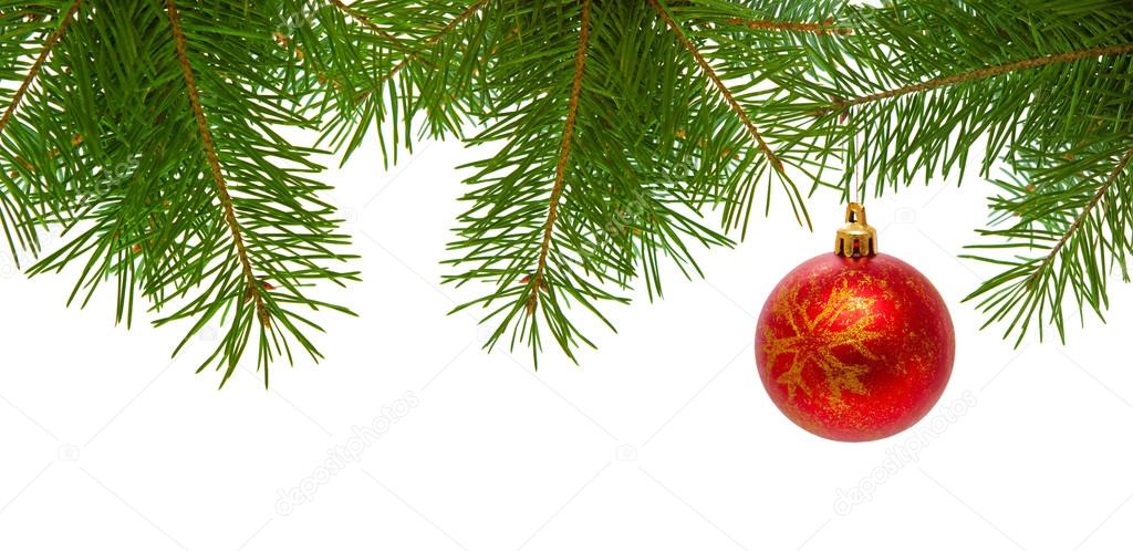 Red christmas ball on fir branch isolated .