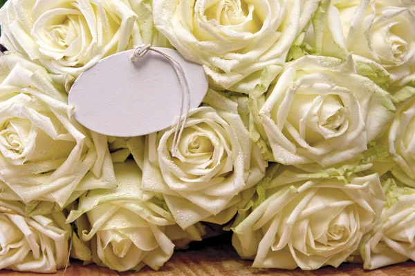 Witte rozen. Bruiloft kaart. — Stockfoto