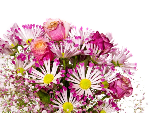 Ramo de flores rosadas aisladas en blanco . — Foto de Stock