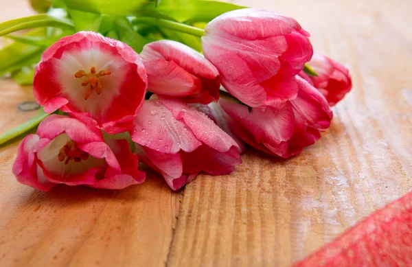 Ramo de tulipán rosa aislado  . — Foto de Stock