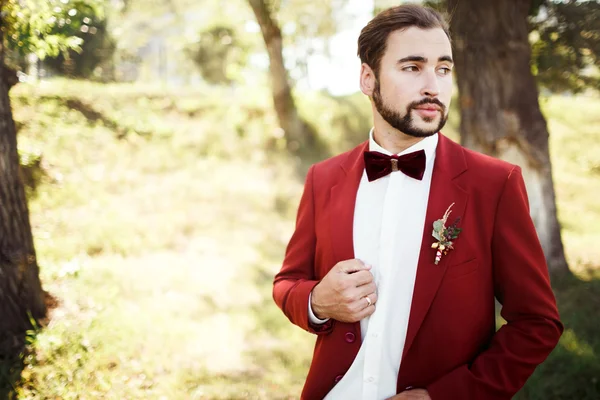 Élégant marié en smoking regardant ailleurs costume marsala rouge, noeud papillon bordeaux . — Photo