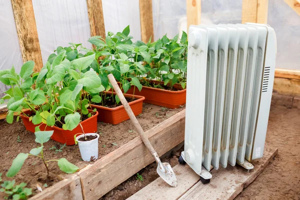 Calentador de aceite eléctrico en invernadero con plántulas de plantas, plantando principios de primavera durante el clima frío . Imagen De Stock