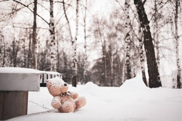 Oyuncak ayı kışın çocuk parkına bırakılmıştı.