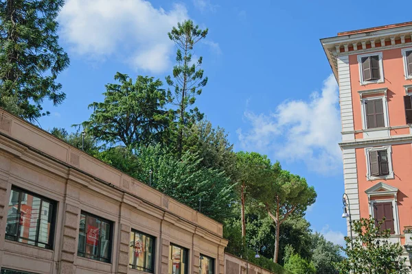 Roma Talya Ağustos 2019 Yaz Sokakları Roma — Stok fotoğraf