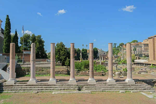 Roma Agosto 2019 Rovine Del Tempio Della Pace Foro Vespasiano — Foto Stock