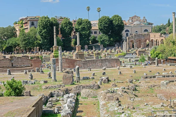 Rome Italië Augustus 2019 Ruïnes Van Het Forum Caesar Rome — Stockfoto