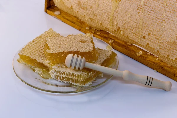 Mel de favo de mel — Fotografia de Stock