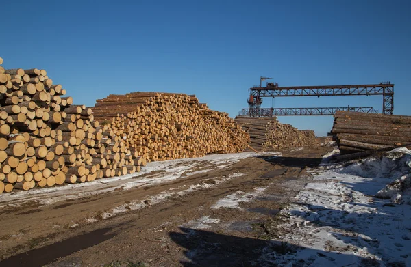 Transporte de madera — Foto de Stock