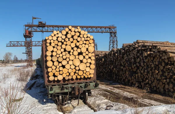Vervoer van hout — Stockfoto