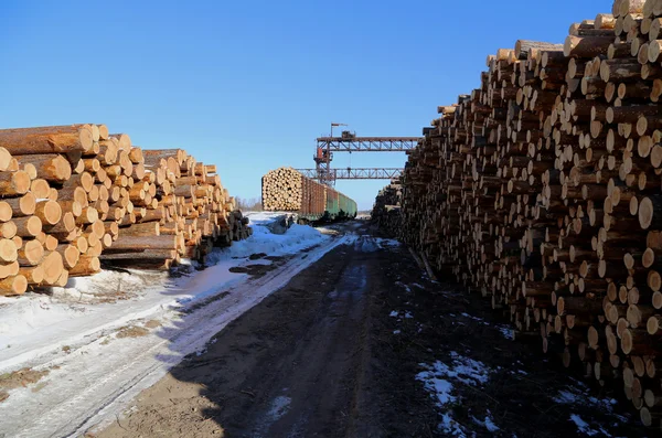 Madera — Foto de Stock