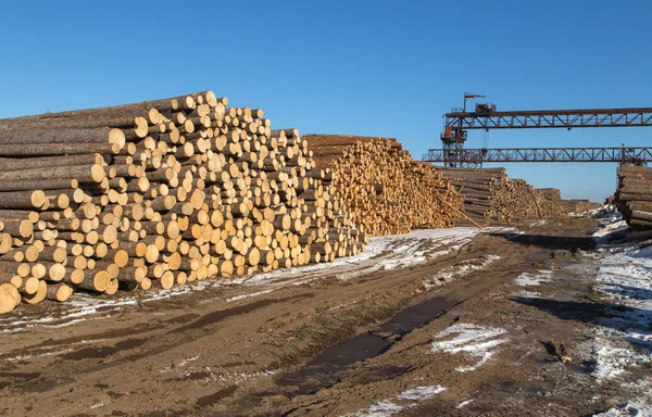 Transportation of of timber Stock Picture