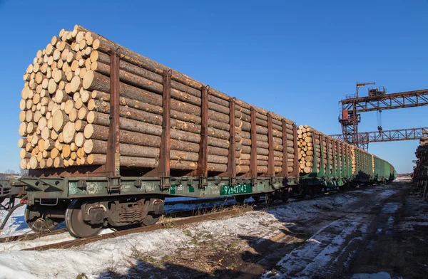 Transportation of of timber Royalty Free Stock Photos