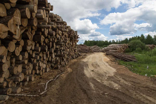 Warehouse loggar. — Stockfoto