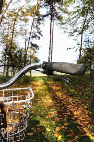 Bisiklet sepeti sonbaharda orman arka planında