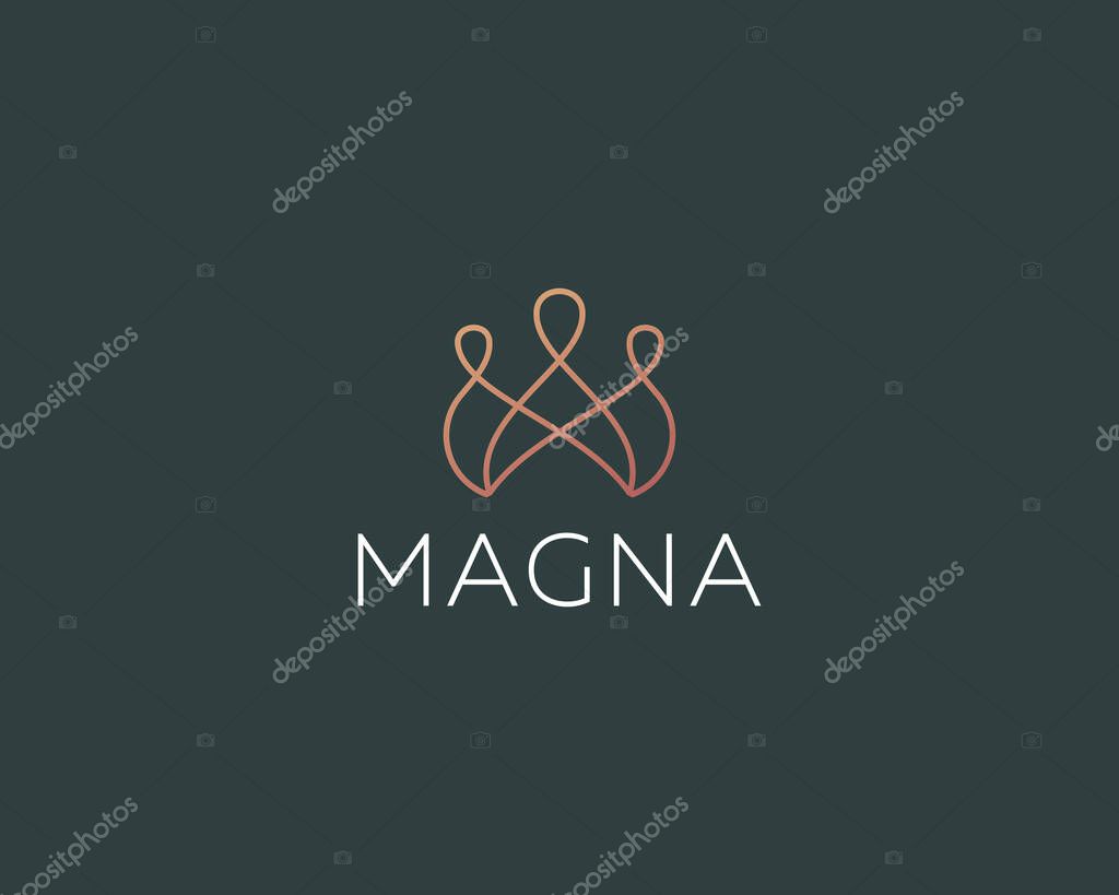 Elegant abstract crown logo. Luxury royal king vector logotype. Abstract linear logo icon design modern minimal style illustration