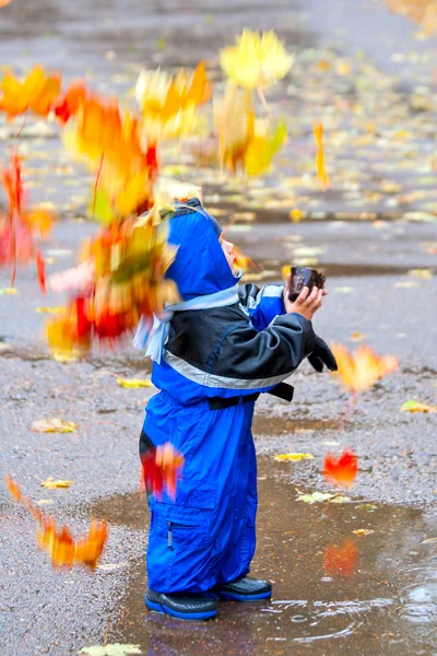 Spaziergang durch den Herbstpark (3) — Stockfoto