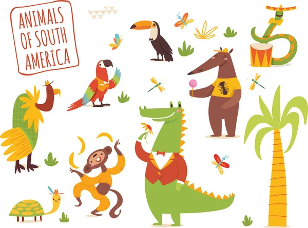 Conjunto Vectorial Divertidos Dibujos Animados Dibujados Mano Animales Tropicales América — Vector de stock